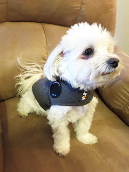 Thundershirt